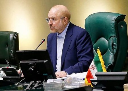 ضروری است تا ابعادموضوع واگذاری خودرو به نمایندگان مجلس  به طور کامل ودقیق بررسی گردد