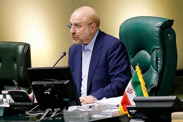 ضروری است تا ابعادموضوع واگذاری خودرو به نمایندگان مجلس  به طور کامل ودقیق بررسی گردد