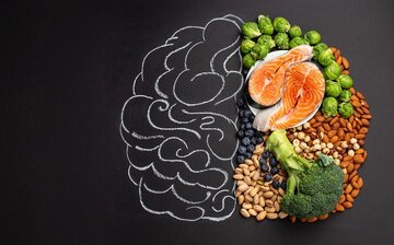 ۱۰ماده غذایی معجزه گر سلامت مغزکدامند؟