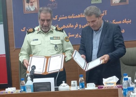 حافظان امنیت در تهران خانه‌دار می‌شوندحافظان امنیت در تهران خانه‌دار می‌شوند