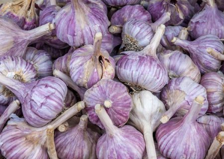 فوایدوعوارض مصرف سیر