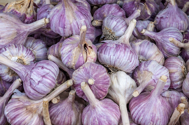 فوایدوعوارض مصرف سیر