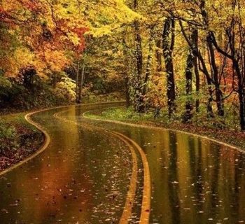 بارش باران امروز درنقاط مختلف کشور