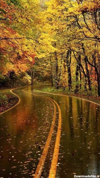 بارش باران امروز درنقاط مختلف کشور