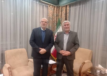 ازتخصیص خوراک پتروپالایش مسجدسلیمان ، تکمیل و راه اندازی شهرک های شیمیایی حوزه انتخابیه خبر داد