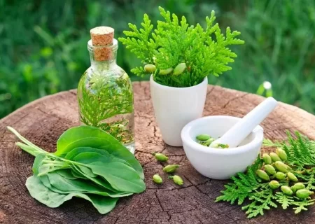 ۵۶ قلم دارو از فرآورده‌های طبیعی تحت پوشش بیمه است