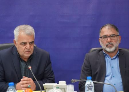تشکیل کار گروه اقدام به منظور رفع مشکلات اقتصادی استان