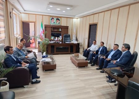 تاکید بر لزوم اجرایی شدن تفاهم نامه های همکاری مشترک بابیمه البرز