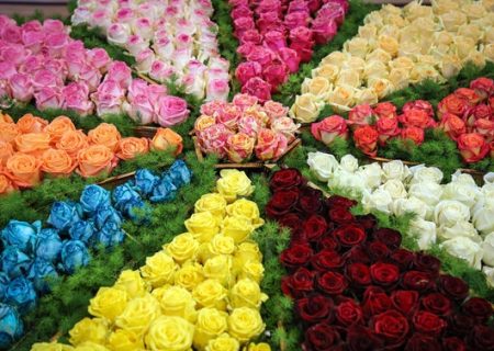 پایتخت گل در انتظار فناوری نوین/مکان‌یابی غلط به مشکلات دامن زد