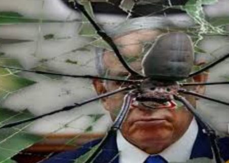 زلزله در لانه عنکبوت