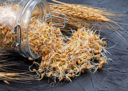 با مصرف این گیاه پیر نمی‌شوید
