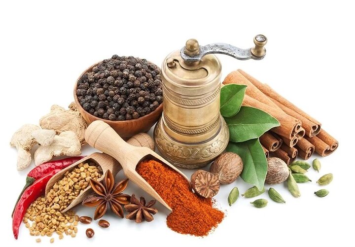 رازهای مزاجشناسی؛ از دَمَویهای پرانرژی تا صفراویهای تیزهوش