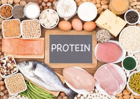 پروتئین گیاهی یا حیوانی؛ برای مدیریت وزن چه بخوریم؟