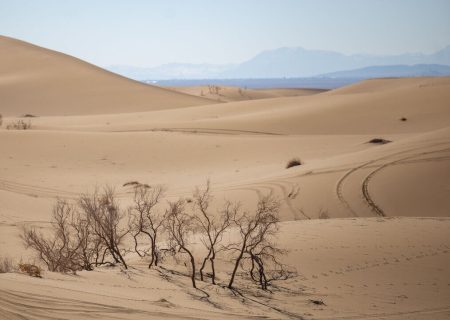 تغییر اقلیم؛ زنگ خطر امنیت غذایی ایران را به صدا درآورد
