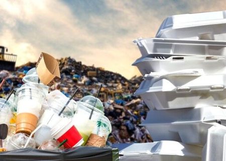ظروف یکبار مصرف، تهدیدی جدی برای محیط زیست