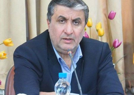 اسلامی: ساخت راکتور بومی با سوخت ایرانی در دستور کار است