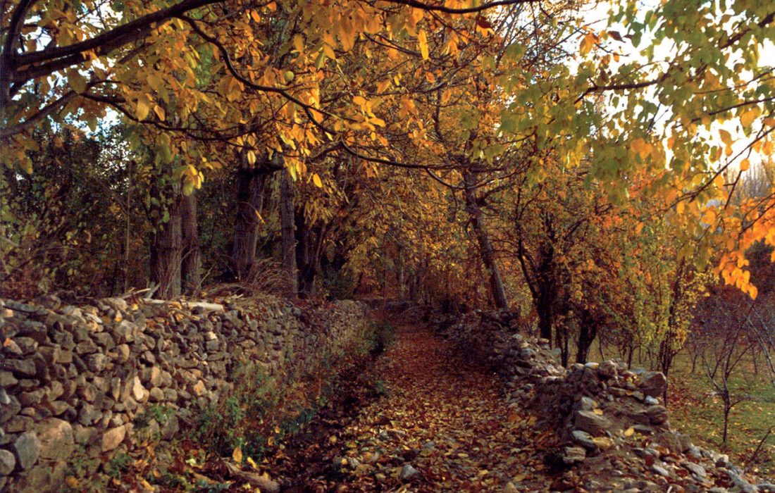 خوانسار؛ خنکای تابستان، زمزمه پاییز