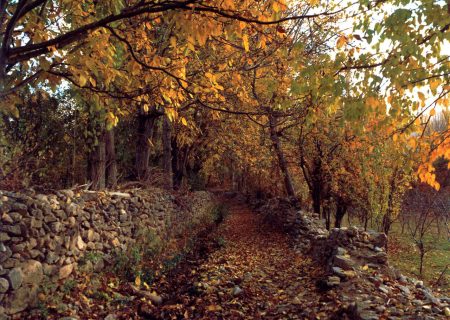 خوانسار؛ خنکای تابستان، زمزمه پاییز
