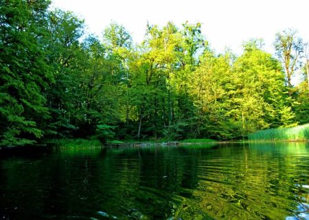 فراخین؛ دریاچه‌ای بکر که آرامش را هدیه می‌کند