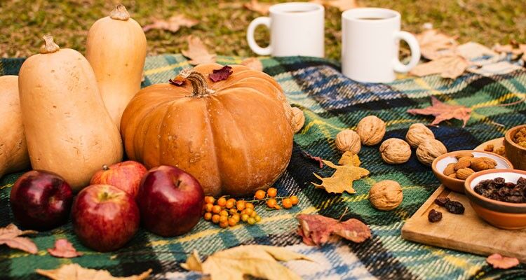 نشاط پاییزی با صبحانهای سالم و دلپذیر