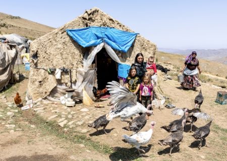 قاب زندگی/ کوچ عشایر قاراداغ؛ سفر جاودانه انسان و طبیعت