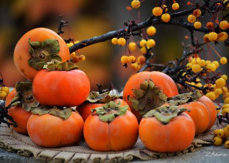 خرمالو؛ میوه‌ای خوش‌رنگ اما دو چهره‌!