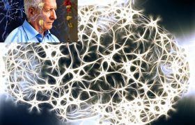 عامل زوال عقل و آلزایمر، «ترافیک پروتئین» است